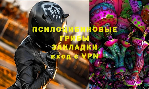 apvp Богданович